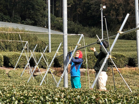 April 2020 Newsletter - d:matcha Kyoto