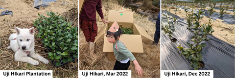 February 2024 Newsletter