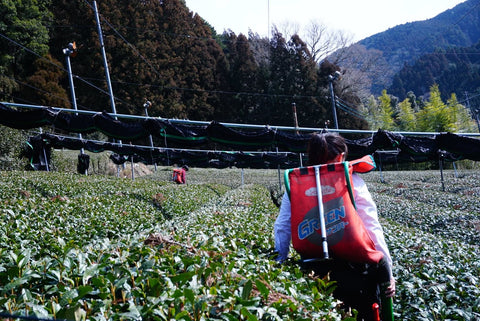 March 2021 Newsletter - d:matcha Kyoto