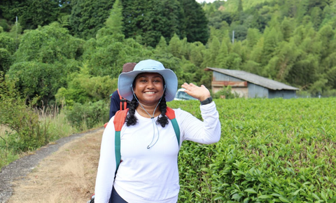 Manali's Tea Journey