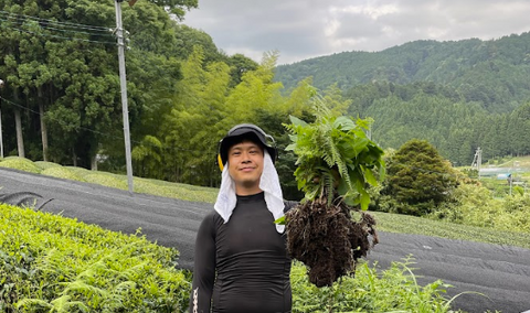 Genesis`s Tea Journey