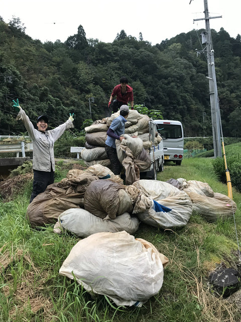 November 2019 Newsletter - d:matcha Kyoto
