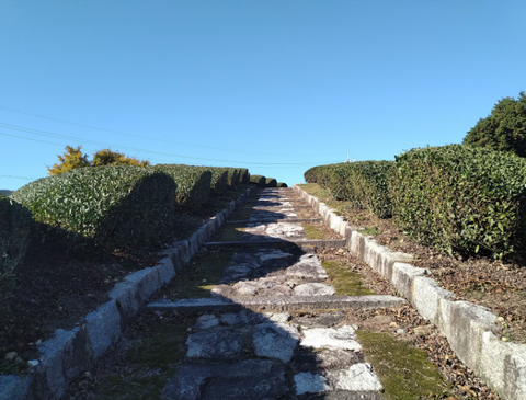 The Imperial Tomb of Prince Asaka (安積親王)