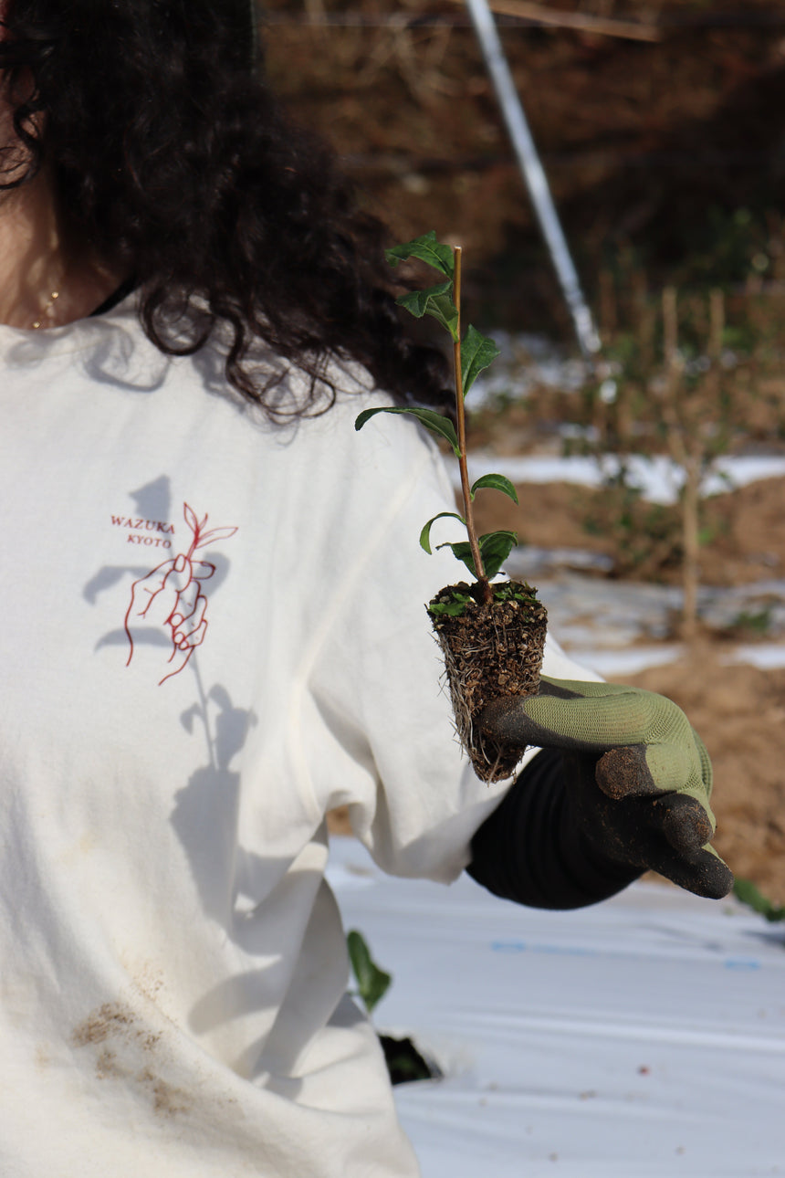 March 2026 Newsletter