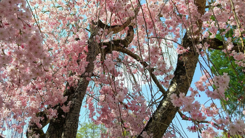 March 2024 Newsletter