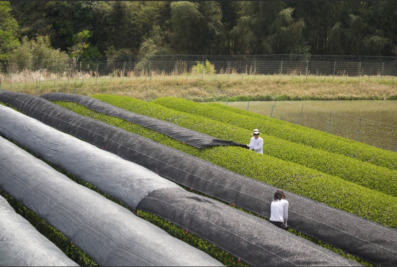 April 2024 Newsletter