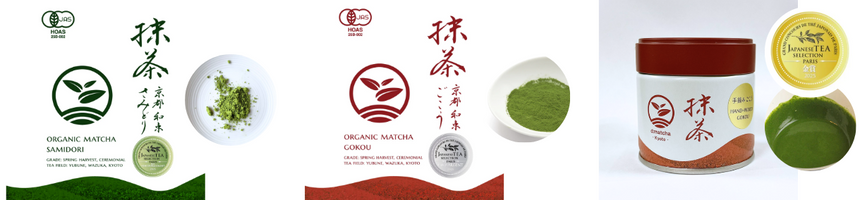 December 2025 Newsletter