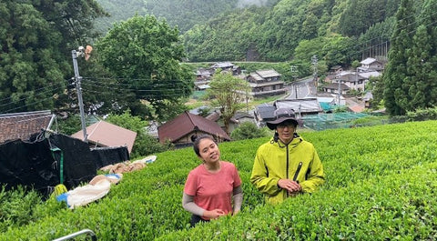June 2021 Newsletter - d:matcha Kyoto
