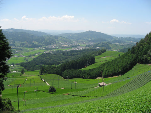 Visit Wazuka, Kyoto; the most utterly irresistible lonely place I have found - d:matcha Kyoto