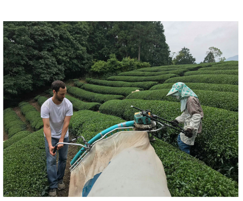 March 2023 Newsletter