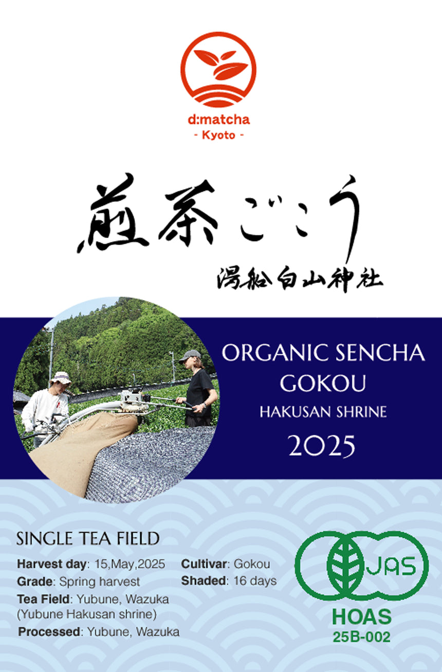 [JAS Organic Certified] 2025 Sencha Gokou