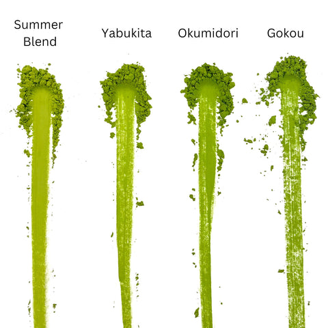 [JAS Organic] Spring Harvest Matcha - Okumidori (1kg)