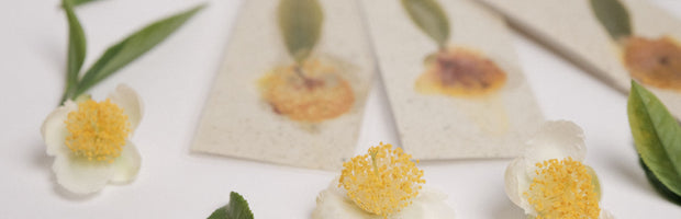 Start your Japanese tea journey with us!