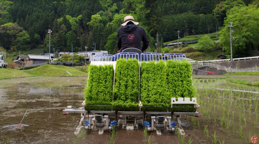 Revitalizing a Japanese tea town