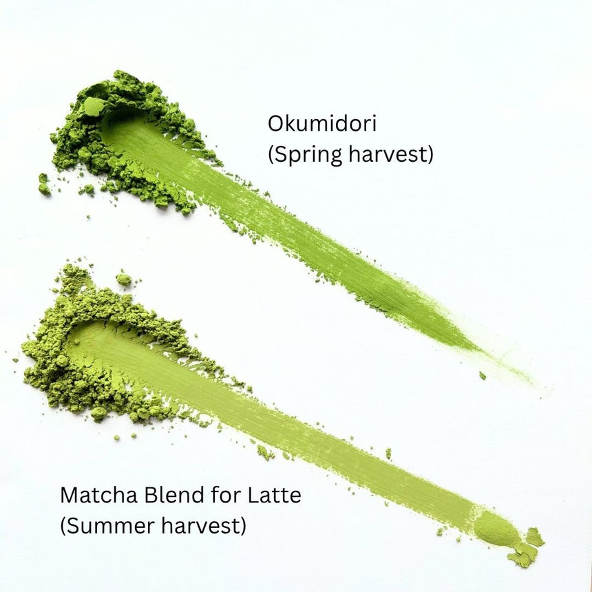 [JAS Organic] Summer Harvest Matcha for Latte & Cooking (1kg)