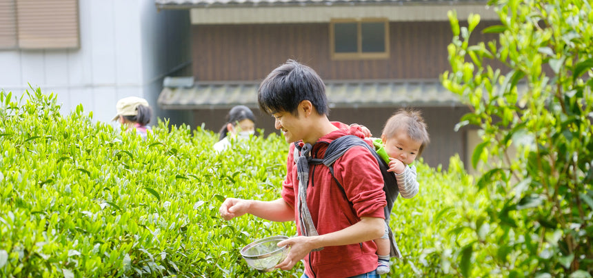 From our Family Farm to your Doorstep